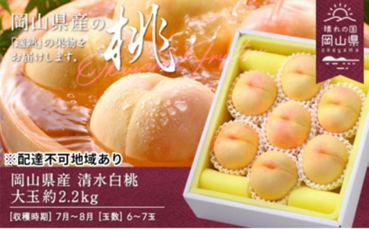 桃 2027年 岡山県産 清水白桃 大玉  約2.2kg 6～7玉（クール便）【清水白桃 白桃 桃 もも 果物 フルーツ 新鮮 岡山県産 おすすめ 人気 ギフト 岡山県 岡山市】