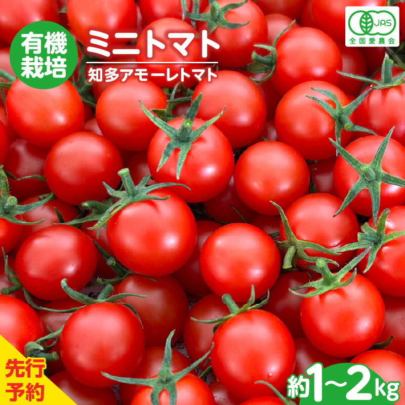 【ふるさと納税】＼先行予約／ 有機栽培 ミニトマト 知多アモーレトマト【約1kg・約2kg】【2025年11月中旬～2026年6月末までにお届け】トマト プチトマト甘い 有機栽培 野菜 濃い 旨味 安心 栄養 リコピン 緑黄色野菜 春 夏 旬 愛知県 特産品 送料無料