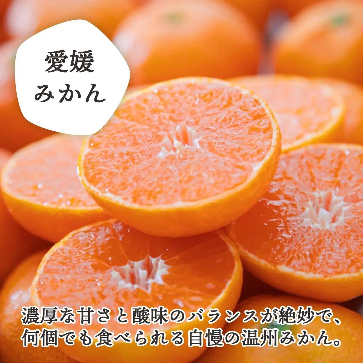 【発送月固定定期便】愛媛みかん小玉6kg(訳)×せとか3kg(訳)【G25-273】全2回【4071217】 YWTAP214