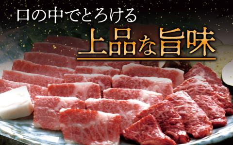 【定期便 全3回】くまもと黒毛和牛焼肉500g 阿蘇牧場 黒毛和牛 和牛 国産 牛肉 ブランド牛 人気 美味しい 焼肉 希少 ジューシー 熊本 阿蘇 定期便