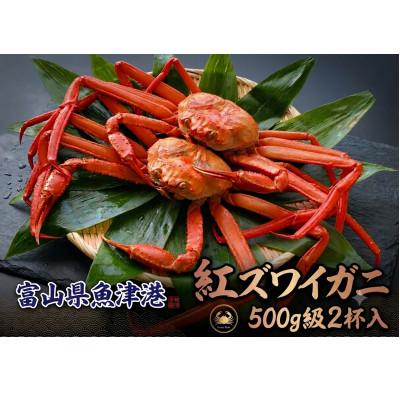 ふるさと納税 魚津市 自社漁船直送!魚卸問屋のベニズワイガニ500g級×2杯