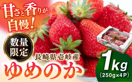 【先行予約】壱岐市産 いちご ゆめのか 1kg（250g×4パック）【2027年3月以降順次発送】《壱岐市》【壱岐市農業協同組合】 イチゴ フルーツ 果物 スムージー 完熟 春いちご 数量限定 春の味覚 [JBO138]