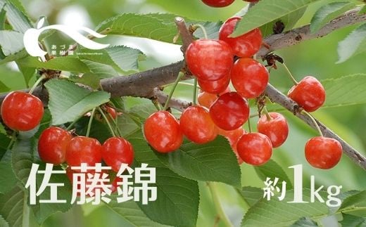 No.1592さくらんぼ（佐藤錦1kg)【2025年発送　先行予約】