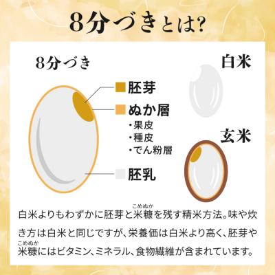 ふるさと納税 東御市 【先行受付2026年発送】長野県産!生きた土壌で育った御牧原米こしひかり 白米(八分づき)10kg |  | 02