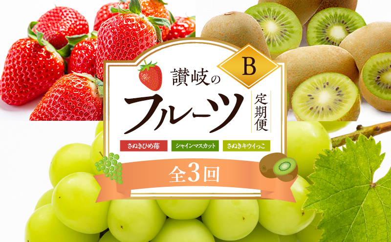 讃岐のフルーツ3回定期便【B】【さぬきひめ苺】【シャインマスカット】【さぬきキウイっこ】