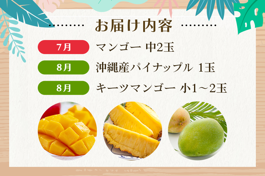 【定期便全3回】沖縄フルーツ定期便 3回 スナックパイン マンゴー キーツマンゴー