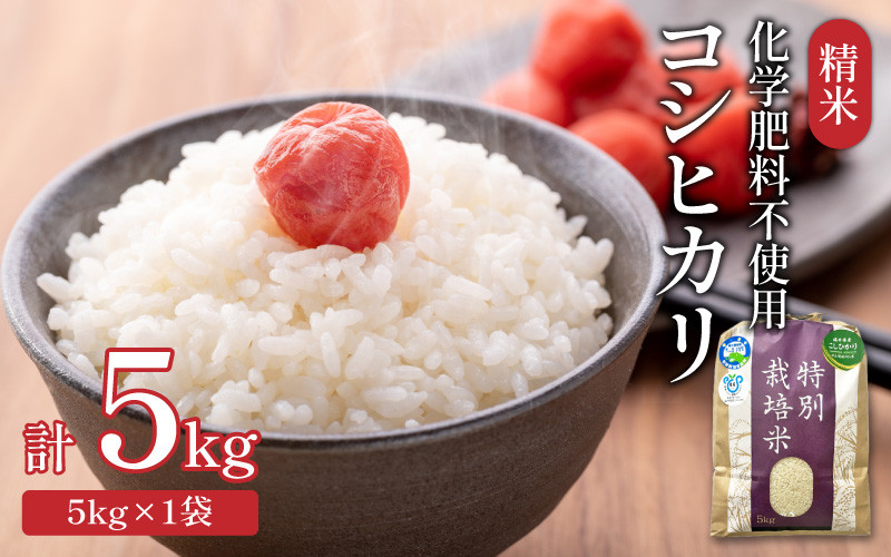 
            【先行予約】【令和7年産 新米】 化学肥料不使用コシヒカリ  精米5kg（5kg×1袋） / 白米 米 福井県あわら市産 美味しい 特別栽培米 減農薬 安心な米 旨味 甘み もっちり エコファーマー こしひかり 冷蔵保管米 ※2025年9月中旬より順次発送
          