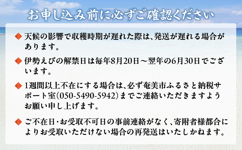 伊勢えび 約1kg以上（2尾～3尾）　A050-002