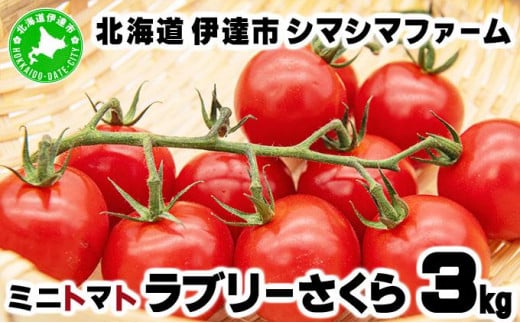 [5525-0961]【 2025年 発送 】 先行予約 北海道 伊達市 ミニトマト ラブリーさくら 3kg 【オンライン決済限定】