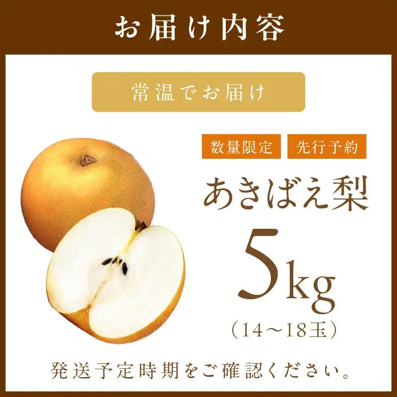 梨／あきばえ	あきばえ梨 5kg（2026年8月中旬～発送）