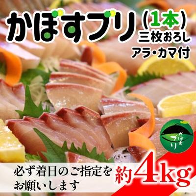 ふるさと納税 臼杵市 先行受付≪着日指定必須≫こんなブリ食べたことない!?「うすき産かぼすブリ」(1本)