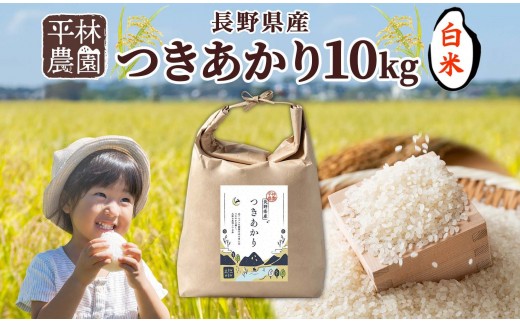 【2026年10月発送】令和8年産 つきあかり 白米 10kg×1袋 長野県産 米 精米 お米 ごはん ライス 甘み 農家直送 産直 信州 人気 ギフト お取り寄せ 平林農園 送料無料 長野県 大町市