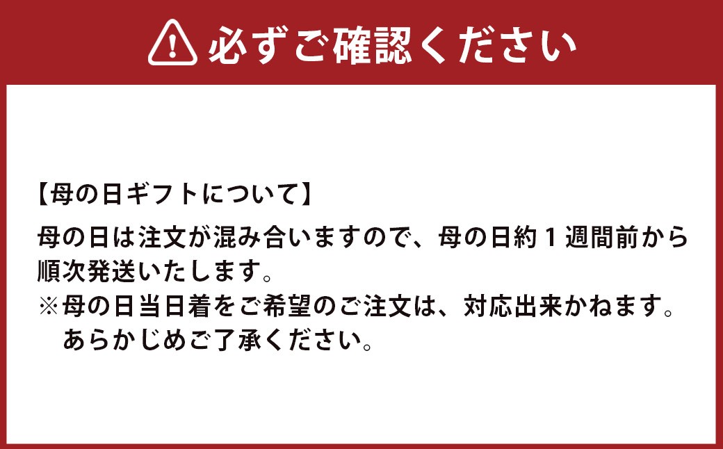 【全12回定期便】 おまかせ フラワーアレンジメント【S】 花 お花 はな 生花 Flower 長崎