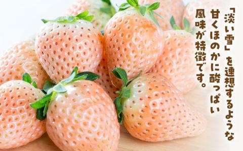 【先行予約】【農家直送】【化粧箱入り】ほんのりピンクな白いちご希少「淡雪」【岸川農園】イチゴ [IAP004]
