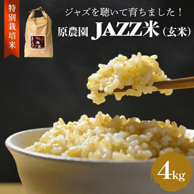 ふるさと納税 玖珠町 《先行受付》令和7年産 原農園 JAZZ米 (玄米) 4kg