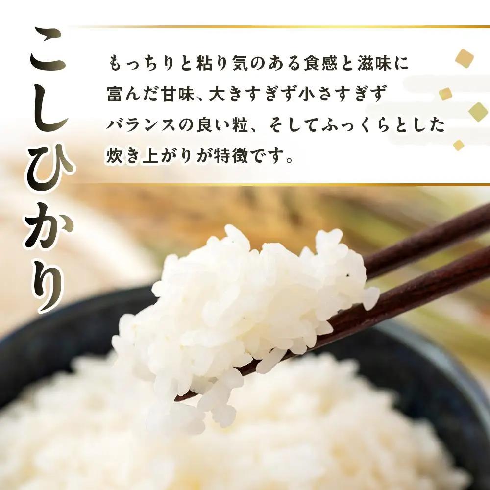 【復興支援】【令和7年産】奥能登柳田米 こしひかり 5kg