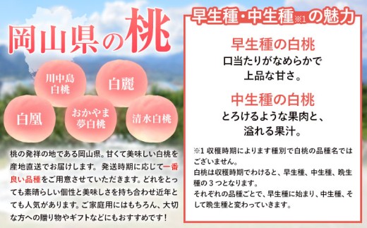 【先行予約】岡山県産 岡山白桃 エース ニューピオーネ 計 1kg 詰合せ 株式会社 はちや《7月上旬‐8月下旬頃出荷》もも 岡山 国産 フルーツ 果物 岡山県 浅口市 フルーツ モモ 果物【配送不可