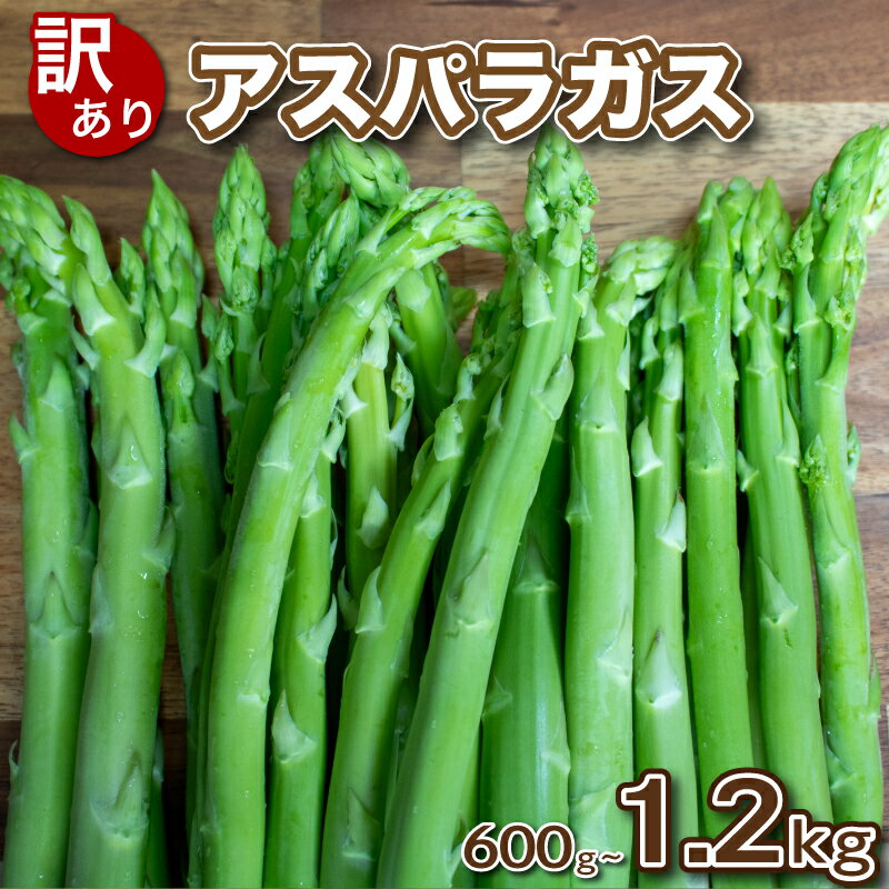 【ふるさと納税】 訳あり アスパラガス B品 600g~1.2kg 朝採れ 大容量 アスパラ S~3L 有機肥料使用 サイズ混合 セット SDGs フードロス 食品ロス お届け月 規格外 野菜 新鮮 夕飯 おかず お弁当 新鮮アスパラ 選べる 容量 下関 山口