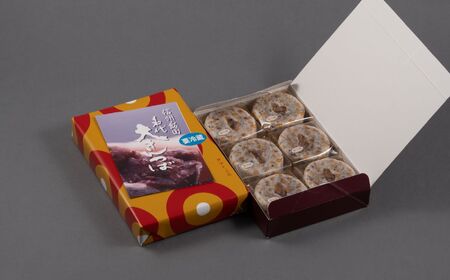 名代大 きんつば【和泉庄】6個 和菓子 長野県 飯田市