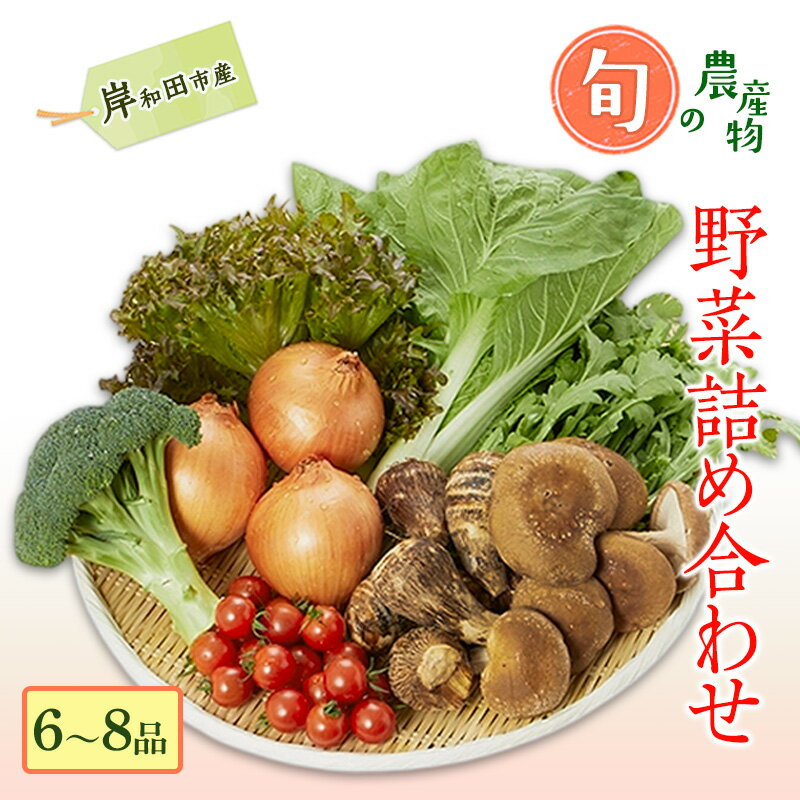 【ふるさと納税】野菜 詰め合わせ 旬の野菜セット (6〜8品) 岸和田市産 産地直送 新鮮 農産物 国産 詰め合わせセット お取り寄せ グルメ つめあわせ おかず サラダ 普段使い 日用品 常備菜 旬 野菜 大阪府 岸和田市
