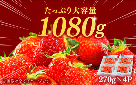 【2025年2月上旬より発送】あまおうG等級 2ケース（270g×4パック） いちご イチゴ 苺 福岡 フルーツ 広川町 / JAふくおか八女農産物直売所どろや[AFAB070]