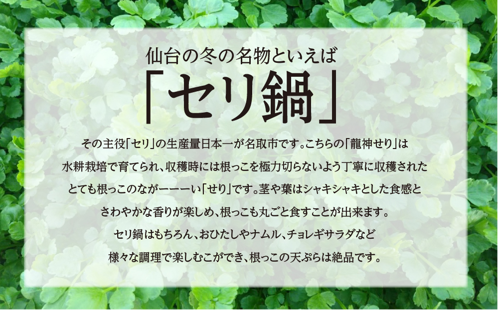 【期間限定】根っこがながーーーい　仙台龍神せり(400ｇ)3～4人前