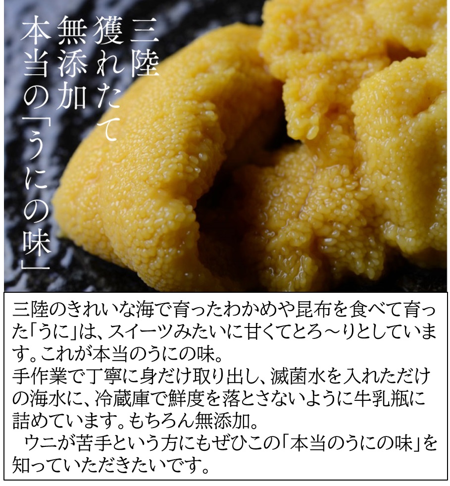 【期間限定】 牛乳瓶入り 生うに 180g×５本【ミョウバン不使用 無添加】 岩手県産 国産 三陸産 うに 塩水 うに瓶 雲丹