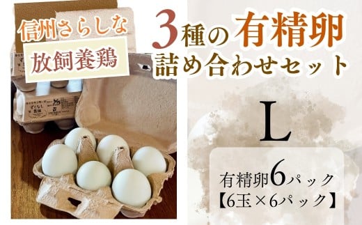 信州さらしな 放飼養鶏！3種の有精卵 詰め合わせセット L｜卵 たまご 名古屋コーチン アローカナ ネラ 信州 長野県産 千曲市