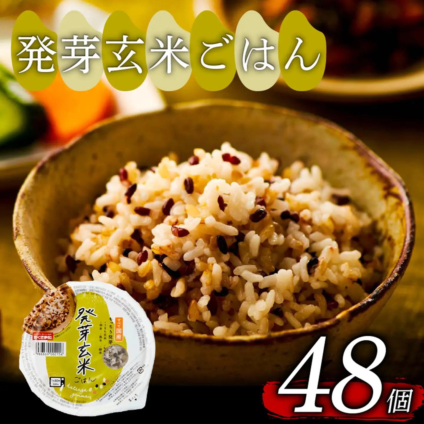【玄米パック】 発芽玄米 国産100% もっちり 160g 計48個 発芽玄米