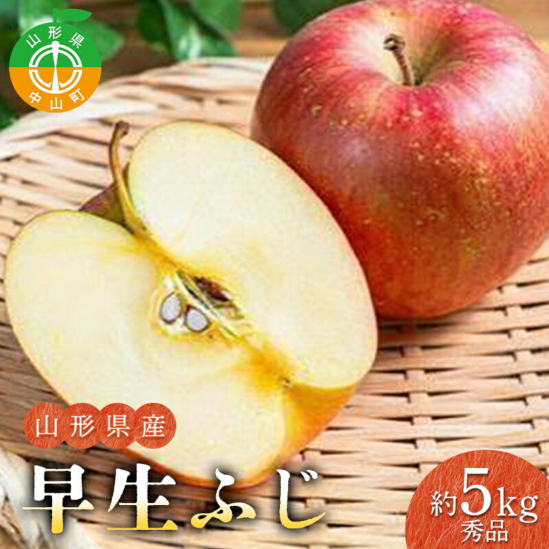 【ふるさと納税】山形県産早生ふじ 秀品 約5kg 玉数おまかせ 林檎 リンゴ サンふじ ふじ 果物 くだもの フルーツ 中山町 F4A-1038