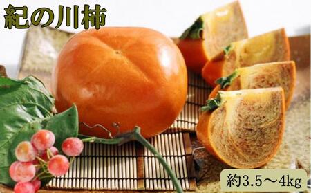 【希少】紀の川柿約3.5～4kg（種無し）秀選品★2026年11月頃より順次発送［TM12］柿