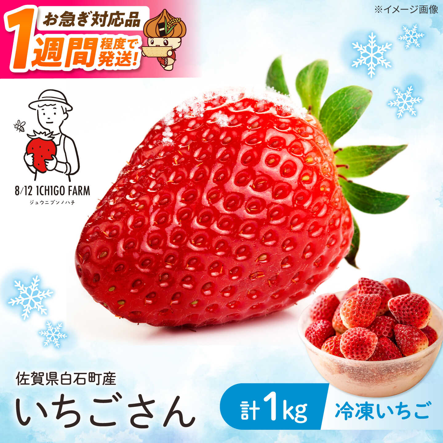 【ふるさと納税】【スピード発送】冷凍いちご（いちごさん）1kg【8/12ICHIGOFARM】 スピード発送 いちご イチゴ 苺 いちごさん 冷凍いちご 冷凍イチゴ 国産 佐賀県 果物 フルーツ アイス 冷凍フルーツ 冷凍便 果物 スムージー くだもの 1kg 佐賀 白石 白石町 [IBR004]