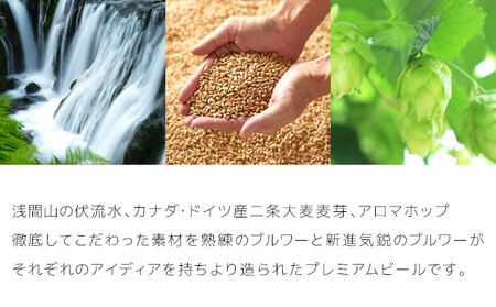 THE軽井沢ビール　6種6缶　飲み比べ　ギフトセット　12カ月定期便【 お酒 ビール 酒 地ビール クラフトビール お取り寄せ ギフト 送料無料 長野県 佐久市 】