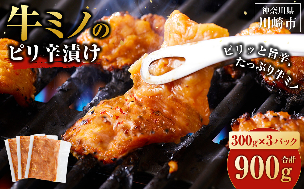 牛ミノ ピリ辛漬け 900g ( 300g × 3パック ) 小分け 個包装 便利 牛肉 ホルモン ミノ 焼肉 焼き肉 お肉 肉 焼くだけ 冷凍 たれ 味付き BBQ アウトドア キャンプ 人気 おすすめ 神奈川 川崎 141305_KZ02