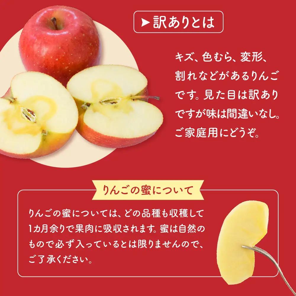 りんご 令和8年産 訳あり りんご サンふじ 約5kg