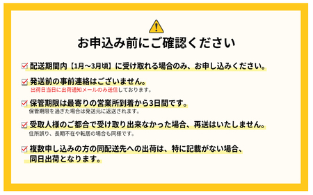 暖家のいちご　ギフト用完熟あまおう（８粒～９粒）×4パック 3Z2-S