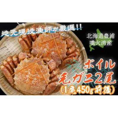ふるさと納税 豊浦町 【地元現役漁師が厳選!!】ボイル・毛ガニ2尾 (1尾450g前後)