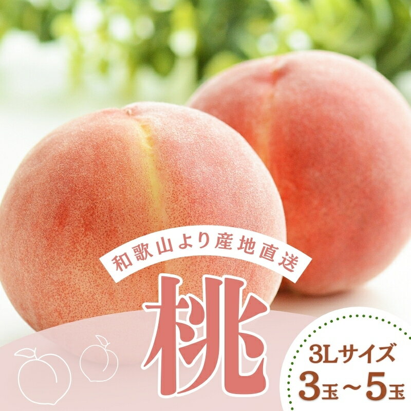 【ふるさと納税】和歌山県産の桃 3Lサイズ(3玉～5玉)【2025年6月中旬頃から8月上旬頃順次発送予定】 | 和歌山 もも 桃 甘い ギフト 贈り物 プレゼント 夏ギフト 果物 フルーツ 人気 産地直送 和歌山県 お取り寄せ【mat109】