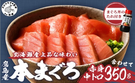 鷹島産本まぐろ 中トロ赤身合わせて350g(まぐろ丼たれ付き)( マグロ 赤身 中トロ マグロ丼 肴 おつまみ 晩酌 柵 流水解凍 本まぐろ 鮪 )【B4-053】