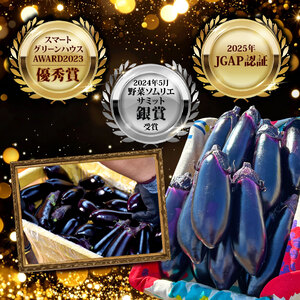【3回定期便】なす3kg 安芸 なす （AZ005）