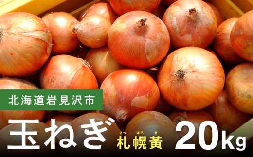 【先行予約】幻の玉ねぎ！札幌黄（さっぽろき）20kg【a168-012】 たまねぎ 玉葱 タマネギ 国産 まとめ買い 業務用 贈り物 野菜 美味しい 送料無料 新鮮野菜 健康 和食 レストラン 国産野