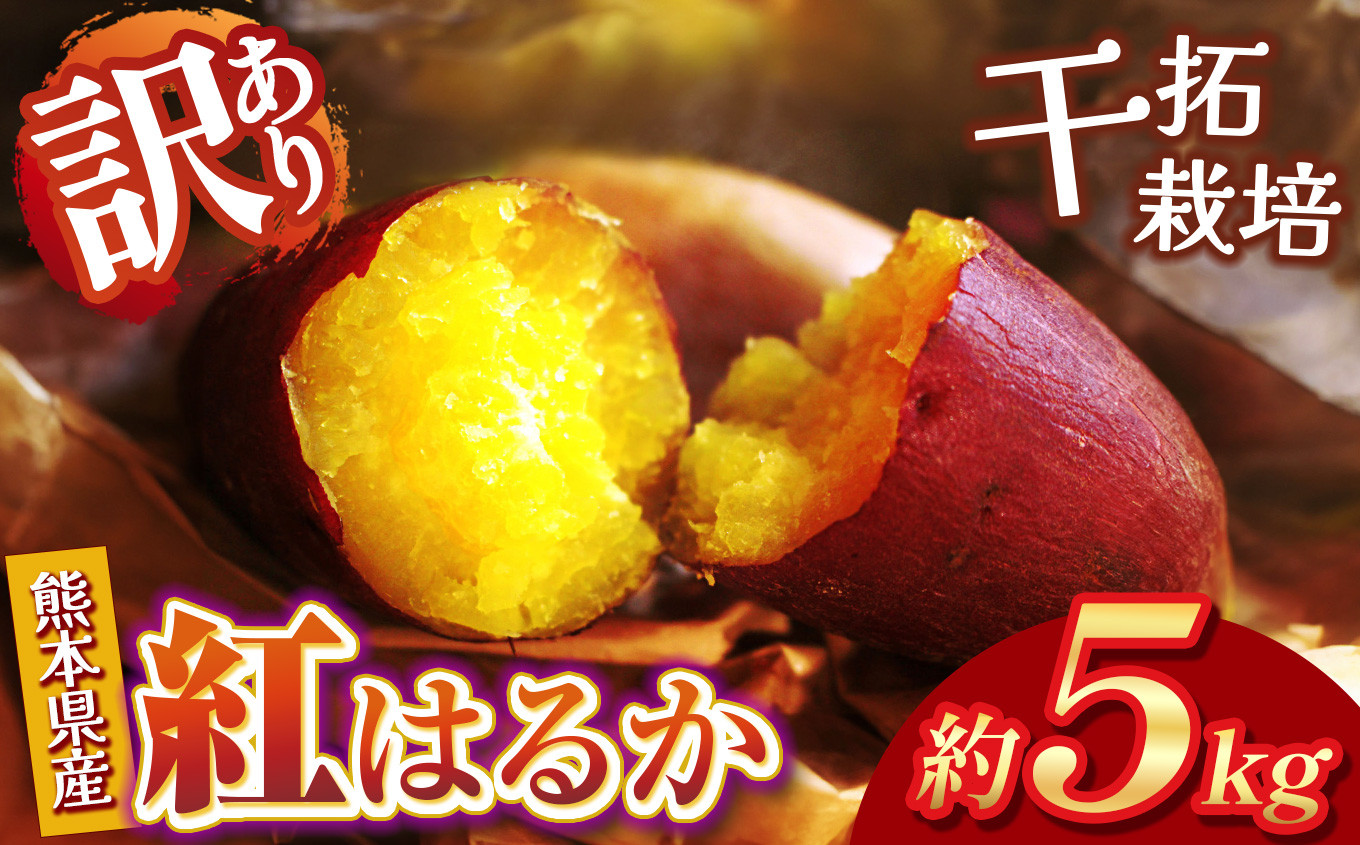 
            干拓栽培 の さつまいも 訳あり 紅はるか 約 5kg | 野菜 やさい 芋 いも さつまいも サツマイモ 訳あり 訳アリ 5キロ 大容量 熊本県 玉名市
          