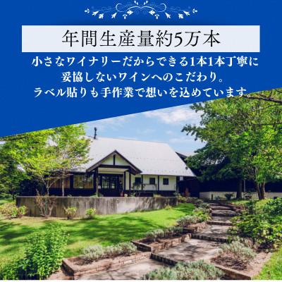 ふるさと納税 雲南市 杜のワイン白 750ml×3本 辛口ワイン 白ワイン3本セット |  | 03