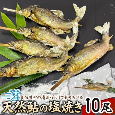 ふるさと納税 東白川村 清流白川 天然鮎の塩焼き 10尾 冷凍 鮎 あゆ 川魚 東白川村産