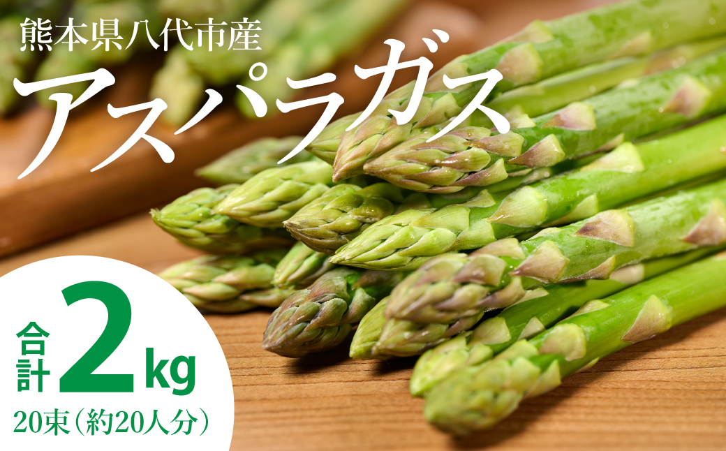 【先行予約】 熊本県 八代市産 アスパラガス 2kg 新鮮 アスパラ 野菜 やさい 旬 【2026年4月上旬より順次発送】