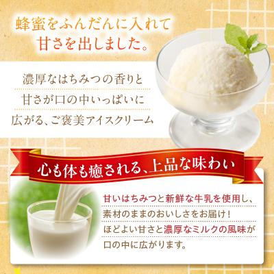 ふるさと納税 小牧市 小牧市産のはちみつたっぷりミルクアイス・追いはちみつ付き 6個 [219H10] |  | 01