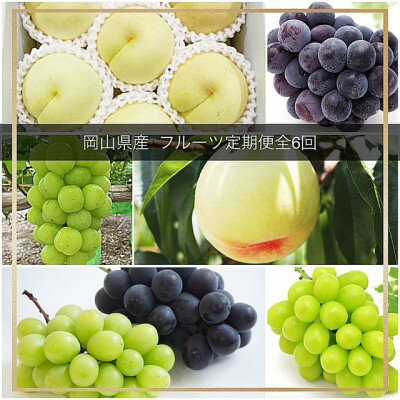 【ふるさと納税】【発送月固定定期便】岡山県産 フルーツ定期便全6回_ フルーツ 定期便 旬 果物 食べ比べ 岡山県 津山市 デザート 葡萄 ぶどう 桃 もも シャインマスカット 送料無料 贈答 ギフト 【配送不可地域：離島・北海道・沖縄県】【4077001】