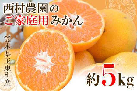 ご家庭用『西村農園』のご家庭用みかん★約5kg(2S-2Lサイズ)  フルーツ 秋 旬★熊本県玉名郡玉東町 80年の老舗農家が作るジューシーみかん♪ちょこっと訳あり《12月上旬-12月末頃出荷》---sg_wnishinmikan_p11_24_8500_5kg---