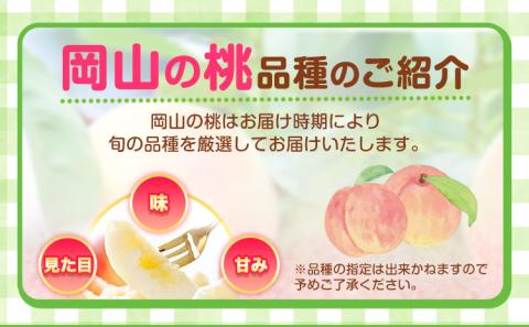 岡山県産 岡山白桃  7玉 (260g以上) 【配送不可地域あり】 《7月上旬-8月末頃に出荷予定(土日祝除く)》 桃 もも 白桃 果物---osy_hbf1_af7_24_28500_7---