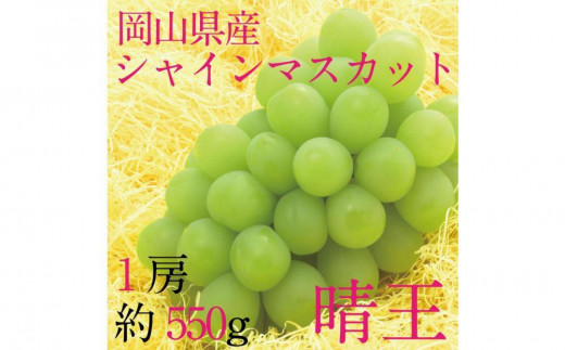 [HS]ぶどう 2025年 先行予約 9月・10月発送 シャイン マスカット 晴王 1房 約550g【ブドウ 葡萄  岡山県産 国産 フルーツ 果物 ギフト】